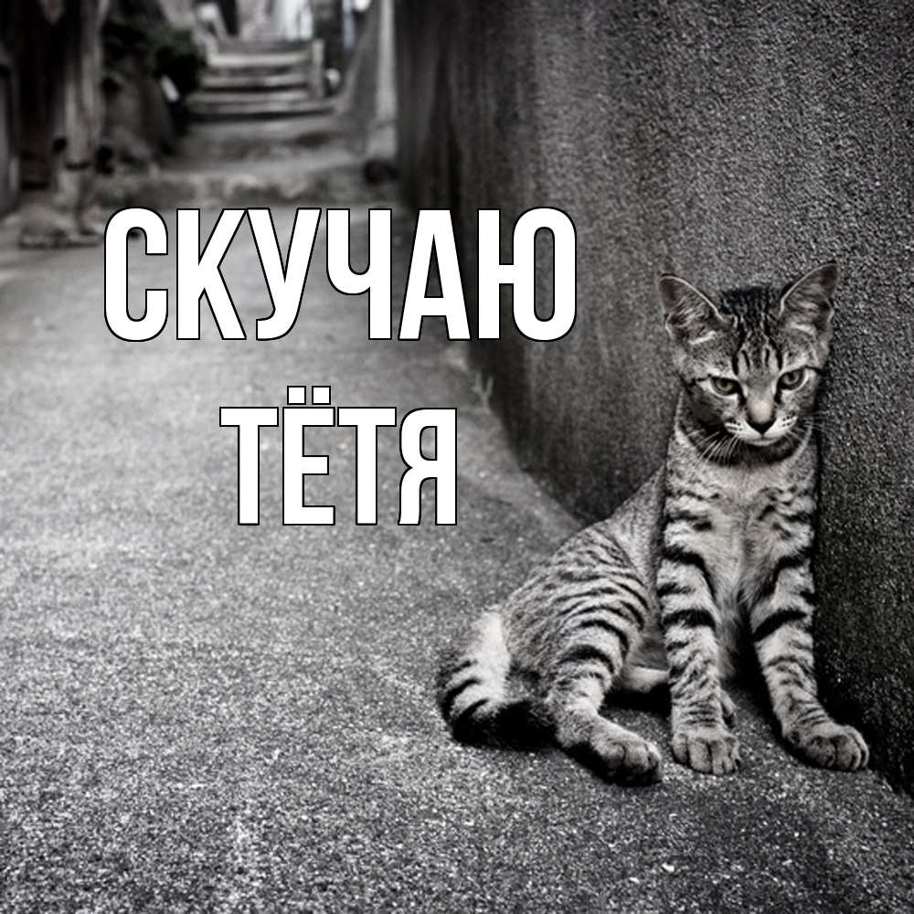 Открытка  с именем. Тётя, Скучаю  