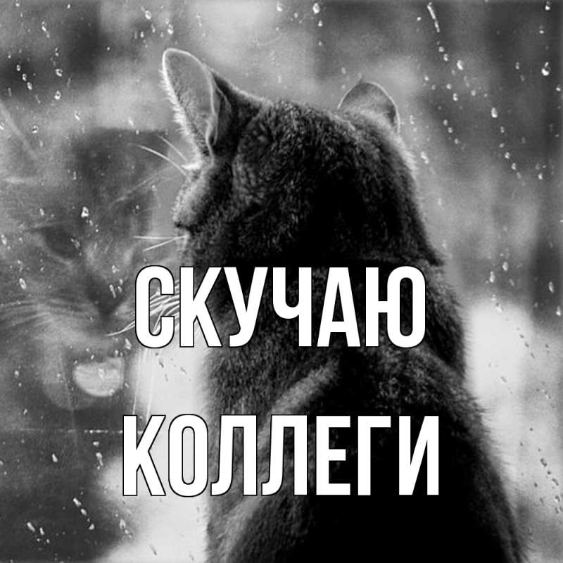 Картинка Скучаю, коллеги