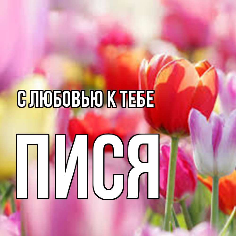 Открытка  с именем. пися, С любовью к тебе  