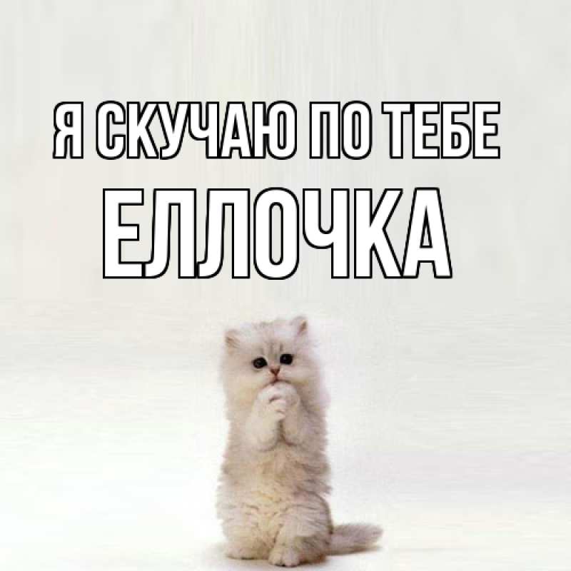 Картинка Я скучаю по тебе, Еллочка