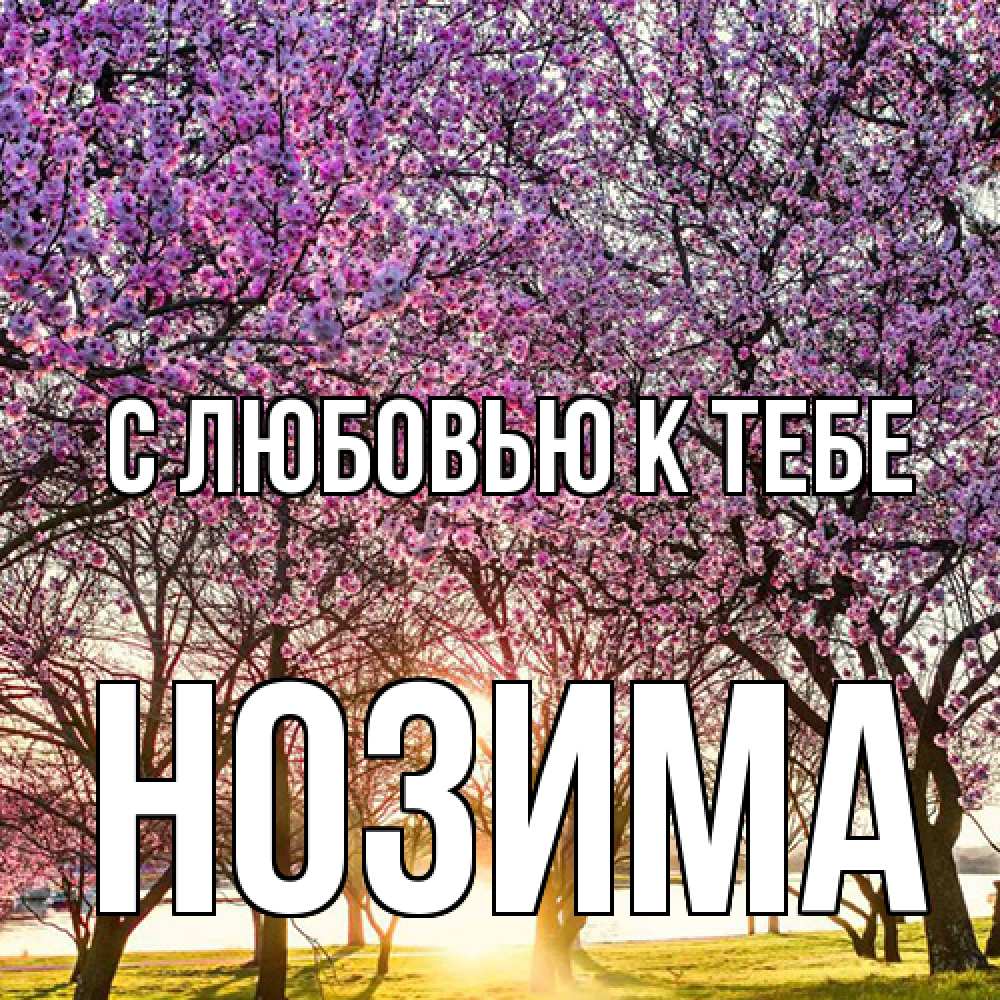 Открытка  с именем. НОЗИМА, С любовью к тебе  