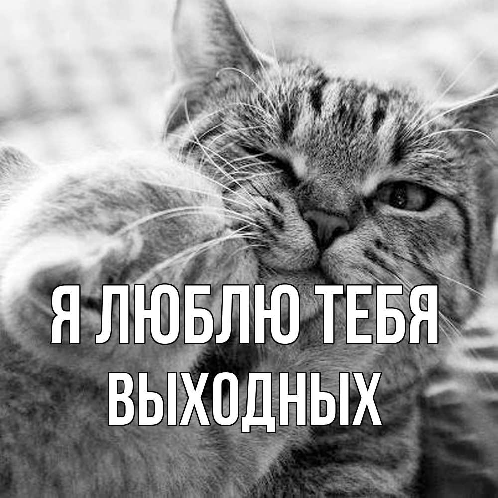 Открытка  с именем. выходных, Я люблю тебя  