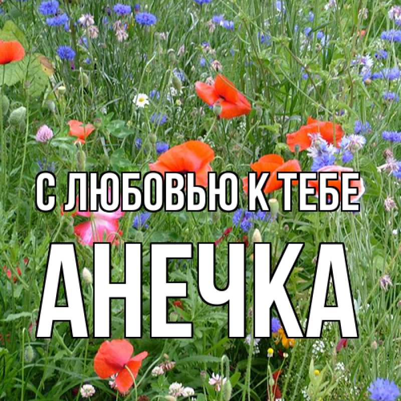 Картинка С любовью к тебе, анечка