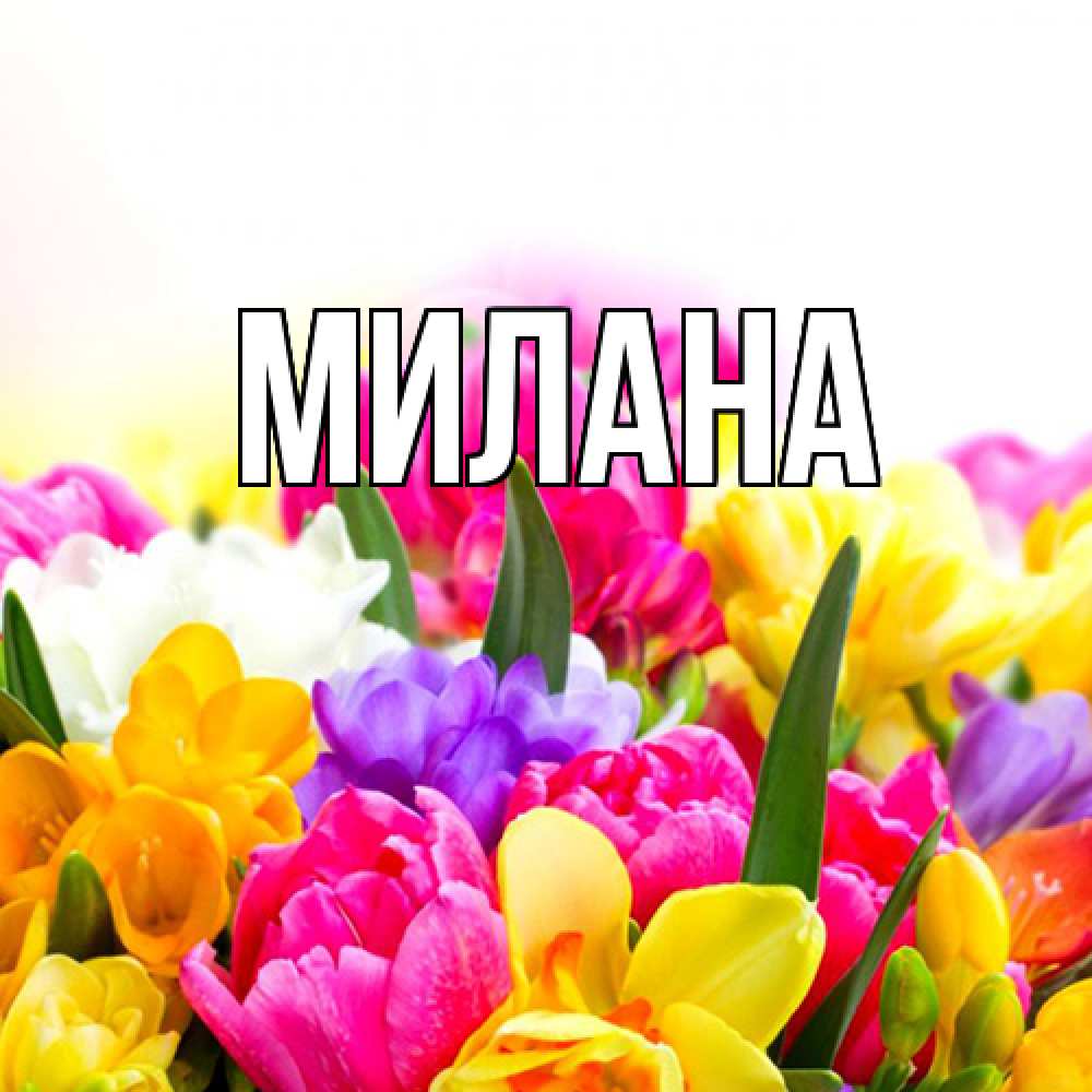 Открытка  с именем. Милана, Главная  