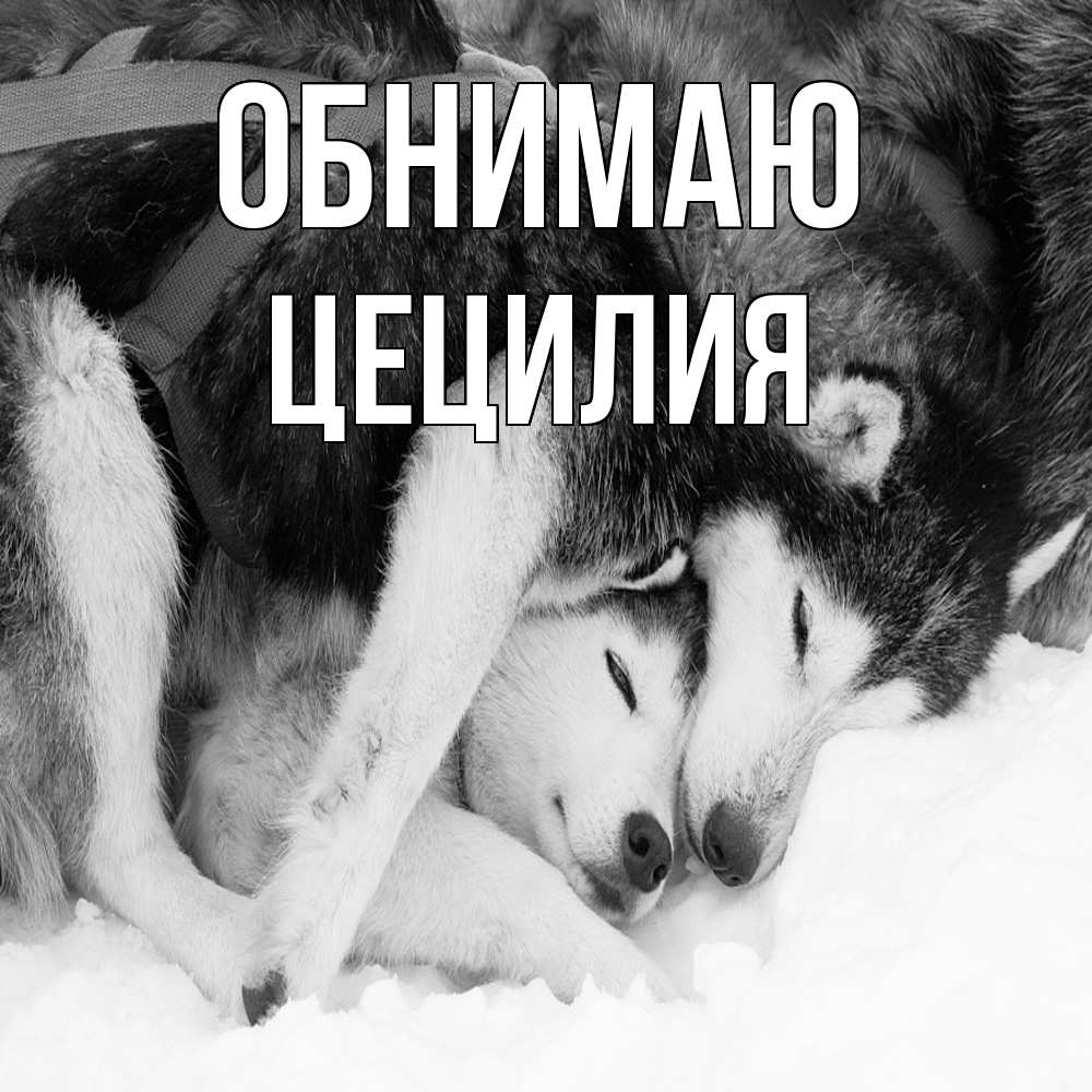 Открытка  с именем. Цецилия, Обнимаю  