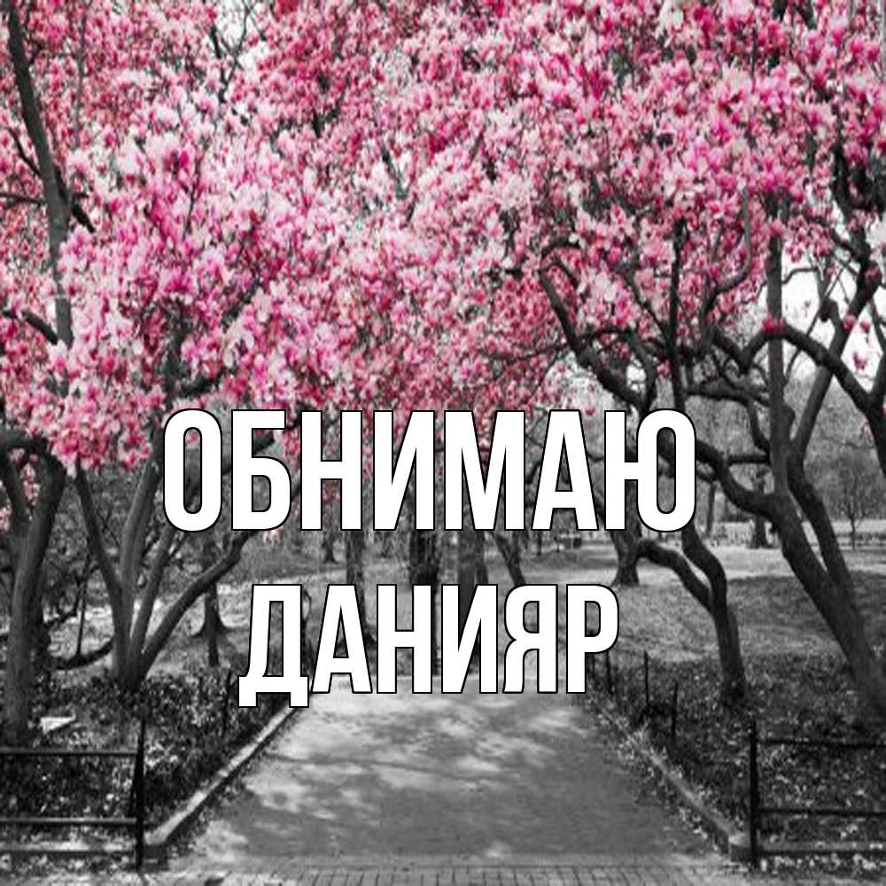 Открытка  с именем. Данияр, Обнимаю  