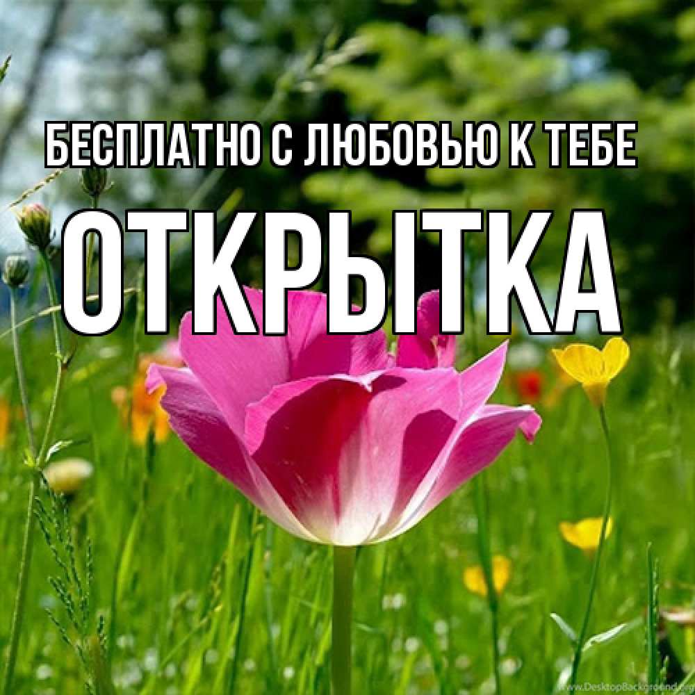 Открытка  с именем. открытка, С любовью к тебе  