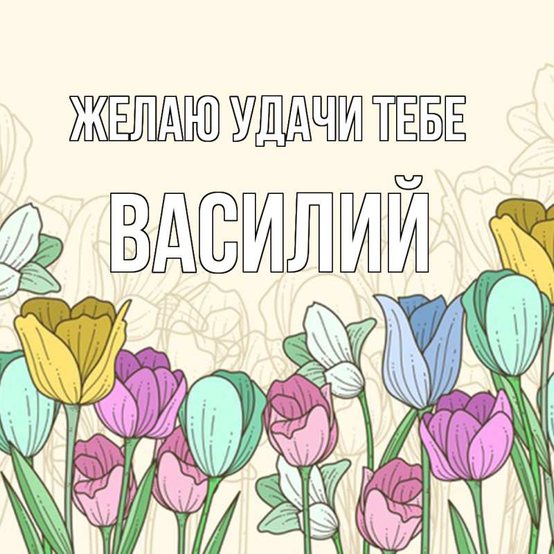 Картинка Желаю удачи тебе, Василий