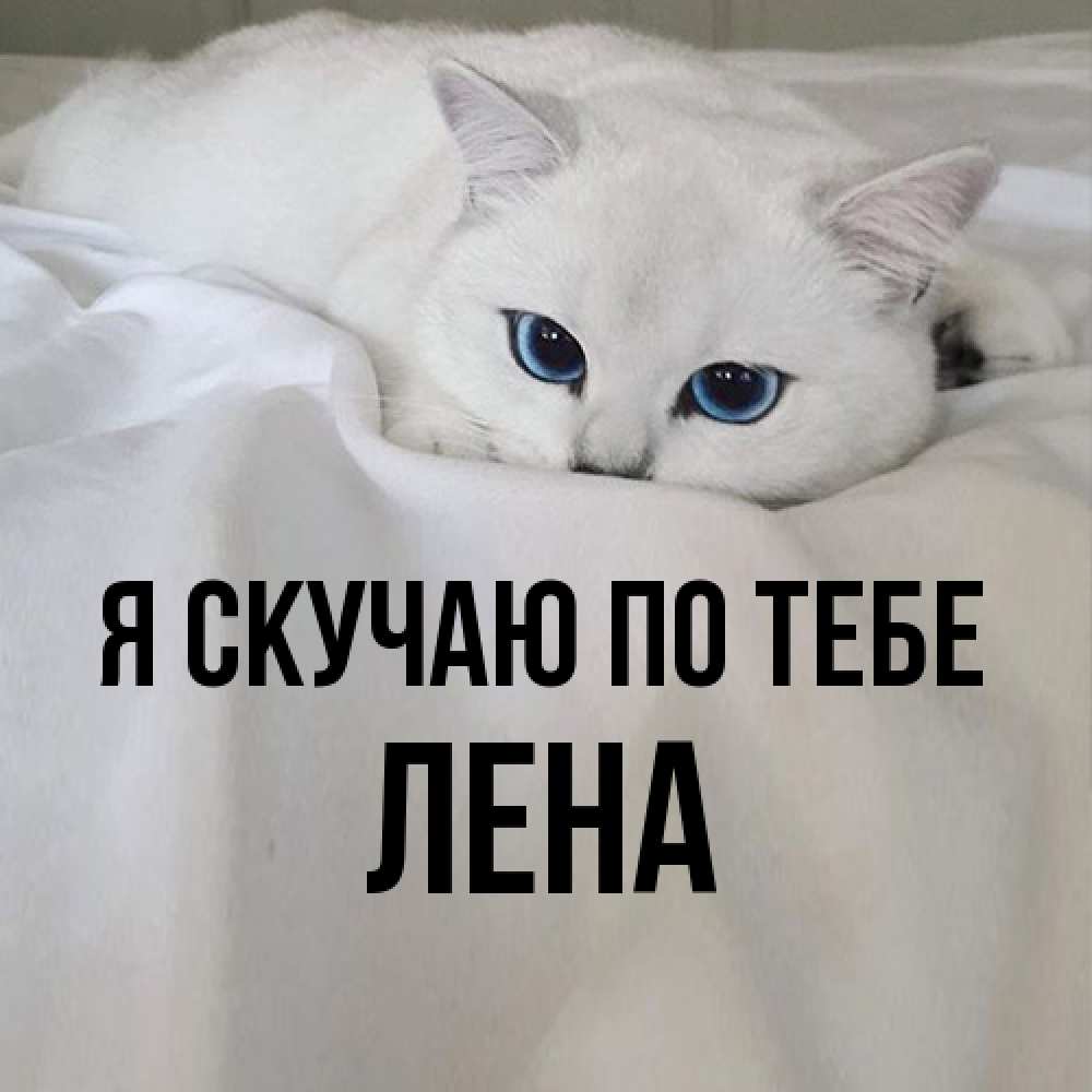 Открытка  с именем. Лена, Я скучаю по тебе  