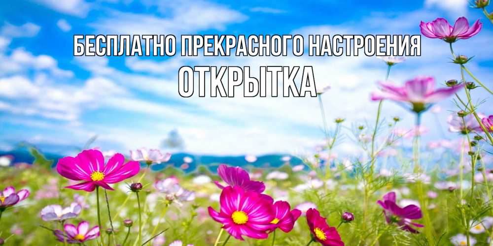 Открытка  с именем. открытка, Прекрасного настроения  