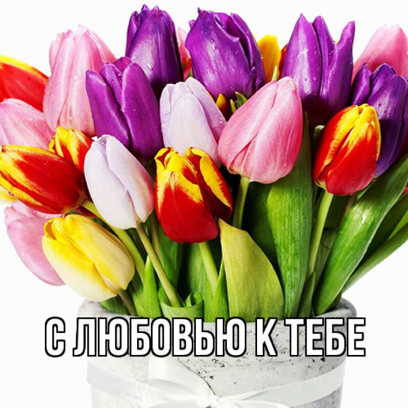 Картинка С любовью к тебе, 
