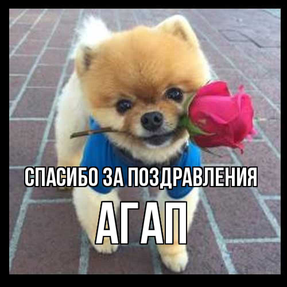 Открытка  с именем. Агап, Спасибо за поздравления  