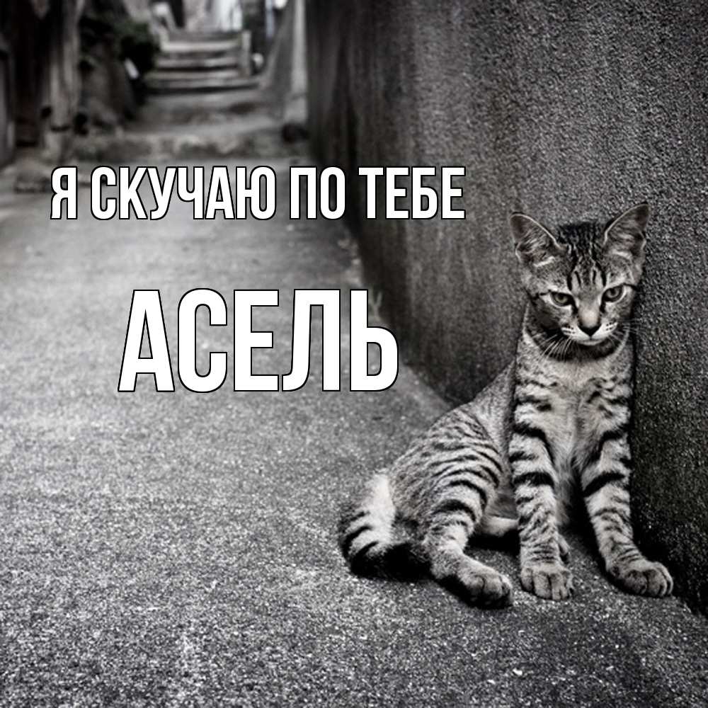 Открытка  с именем. Асель, Я скучаю по тебе  