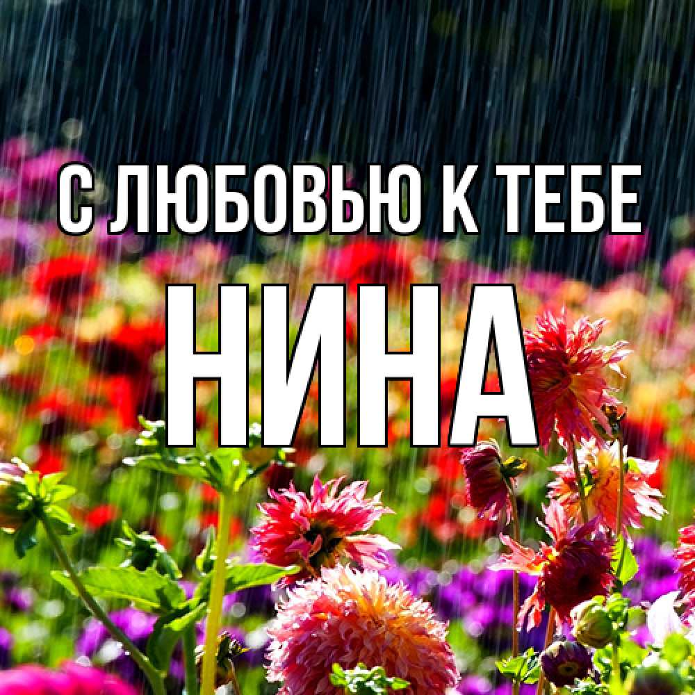 Открытка  с именем. Нина, С любовью к тебе  