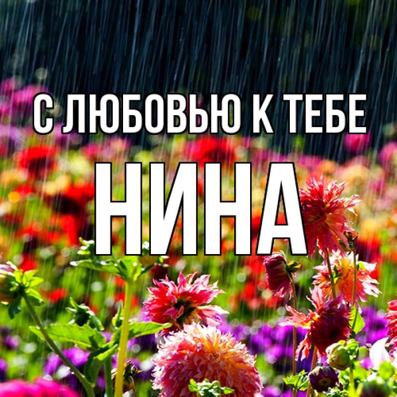 Картинка С любовью к тебе, Нина