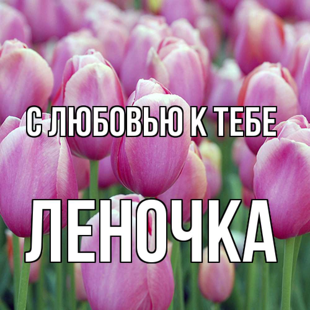 Открытка  с именем. ЛЕНОЧКА, С любовью к тебе  