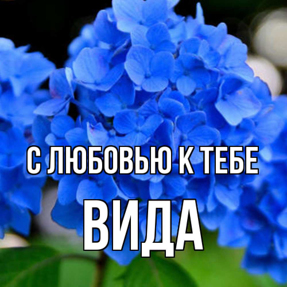 Открытка  с именем. Вида, С любовью к тебе  