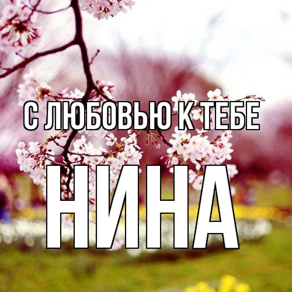 Открытка  с именем. Нина, С любовью к тебе  