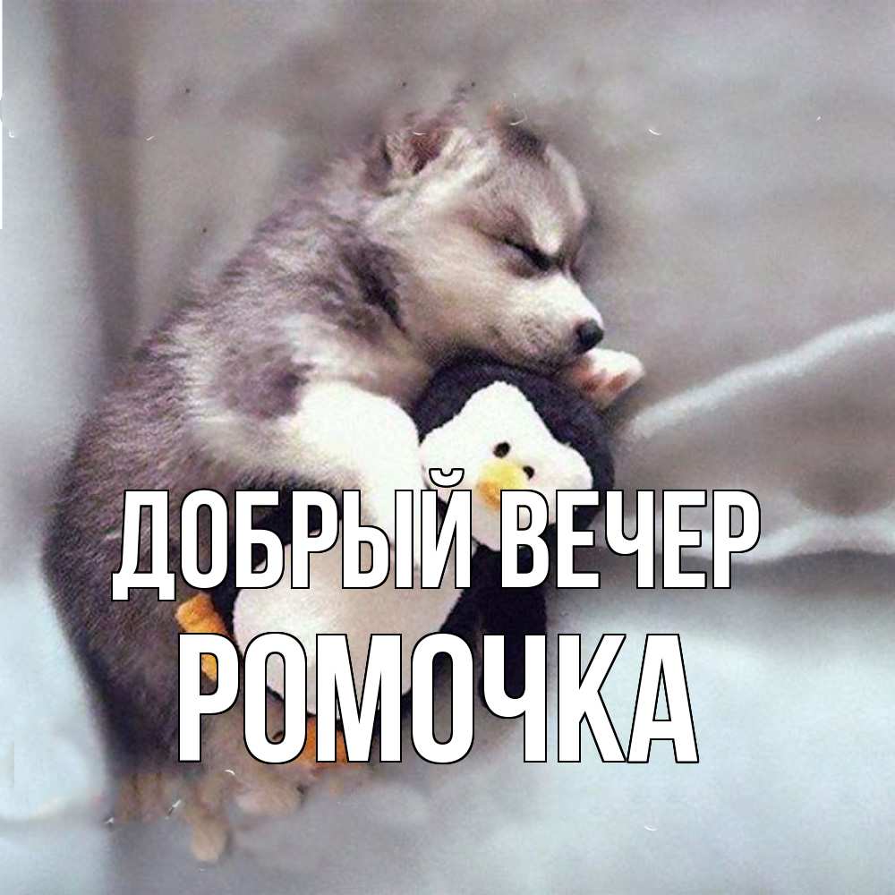 Открытка  с именем. Ромочка, Добрый вечер  