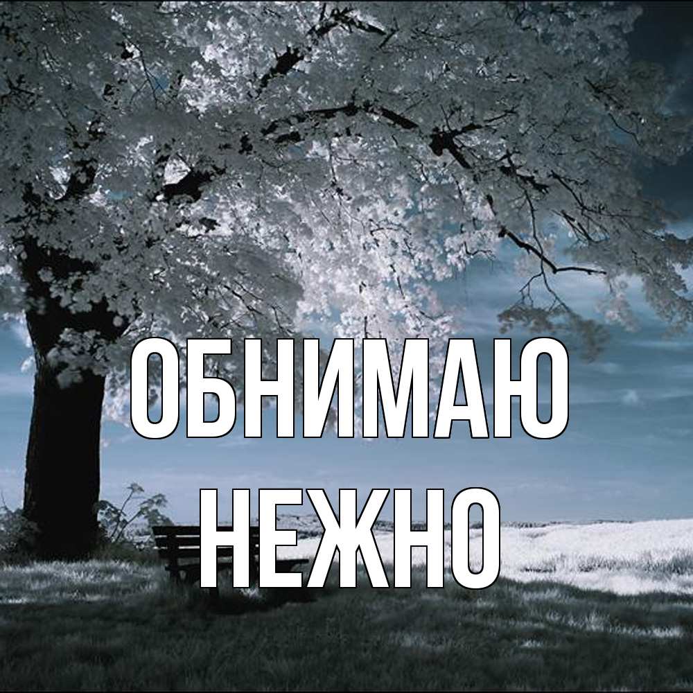 Открытка  с именем. Нежно, Обнимаю  