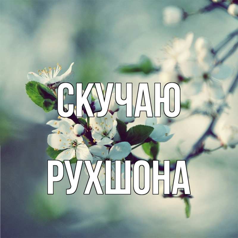 Картинка Скучаю, Рухшона