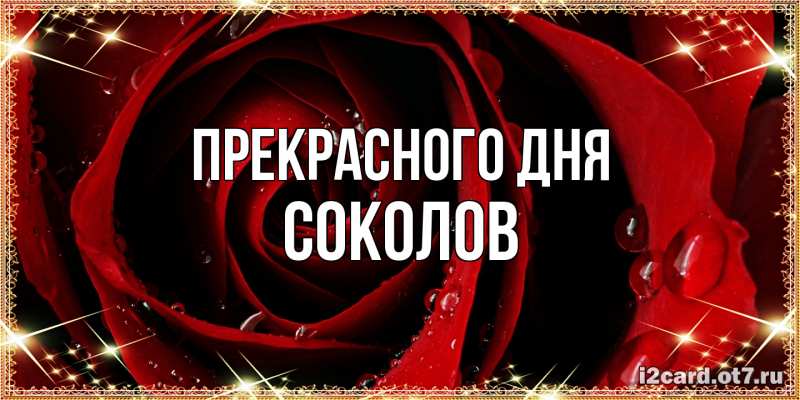 Открытка с именем, Соколов, Прекрасного дня