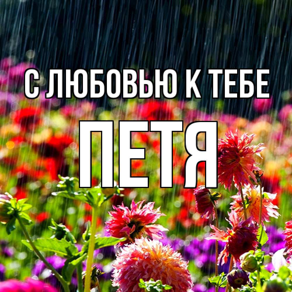 Открытка  с именем. Петя, С любовью к тебе  