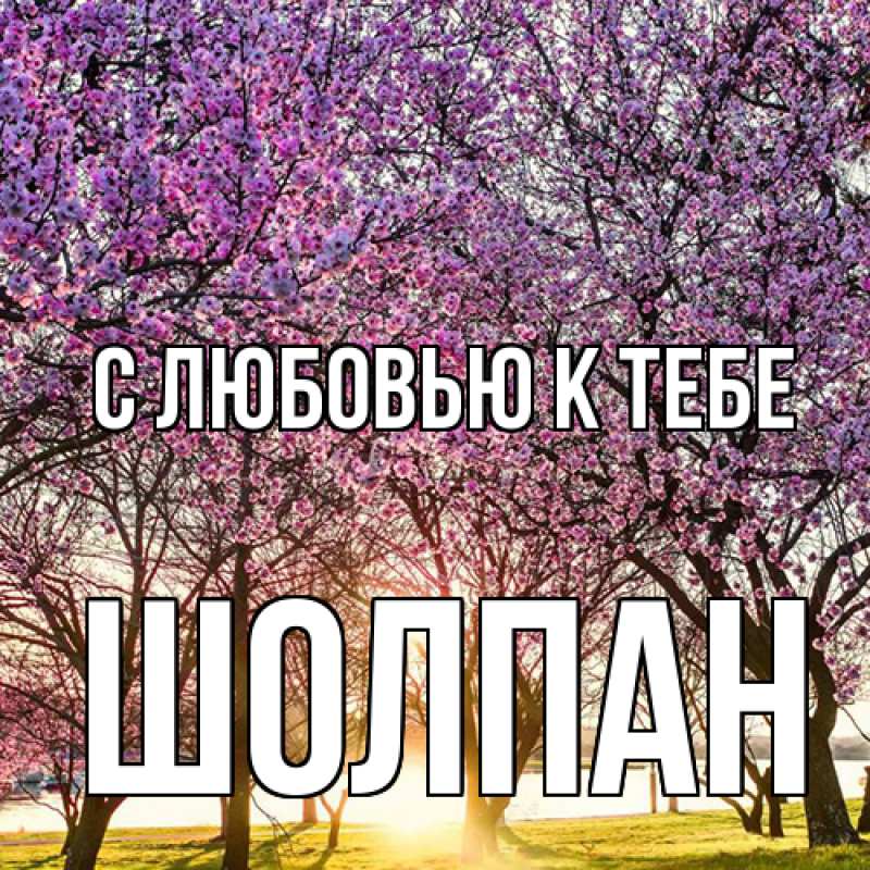 Картинка С любовью к тебе, Шолпан