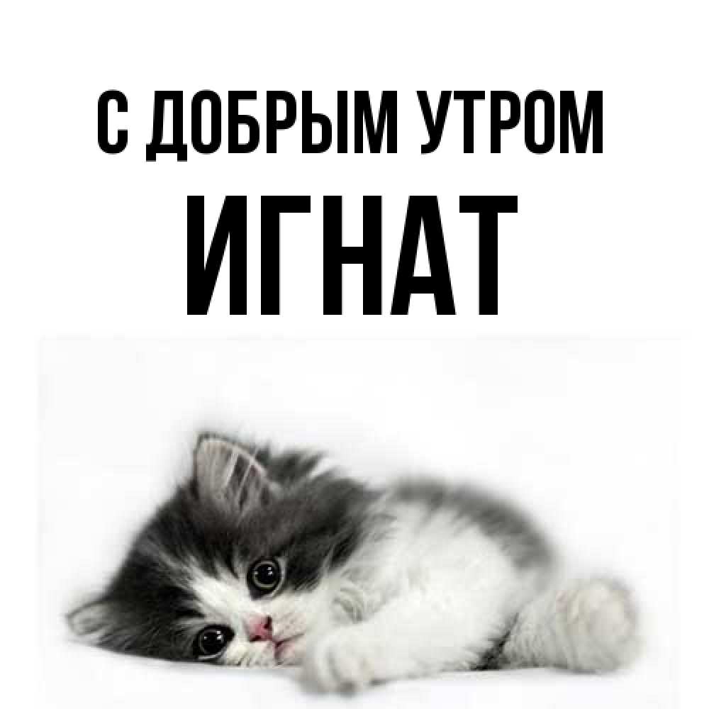 Открытка  с именем. Игнат, С добрым утром  