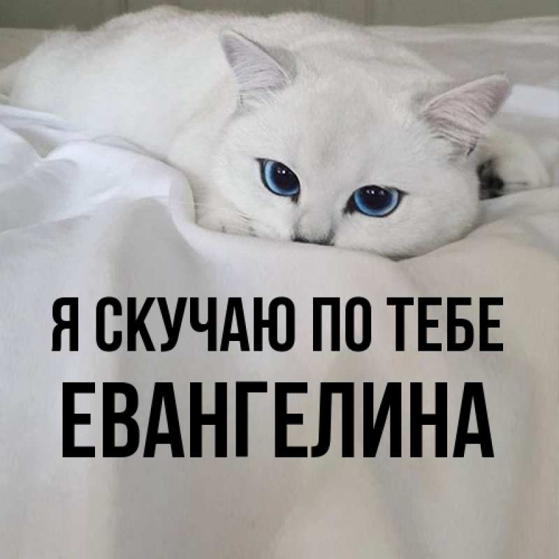 Картинка Я скучаю по тебе, Евангелина