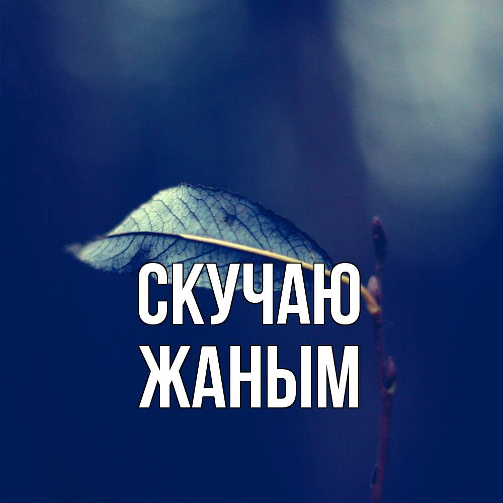 Открытка  с именем. Жаным, Скучаю  