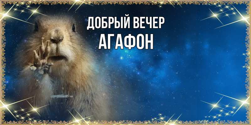 Картинка Добрый вечер, Агафон