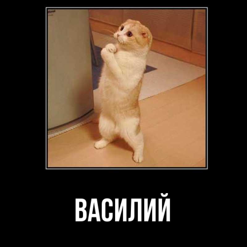 Картинка  с именем , Василий