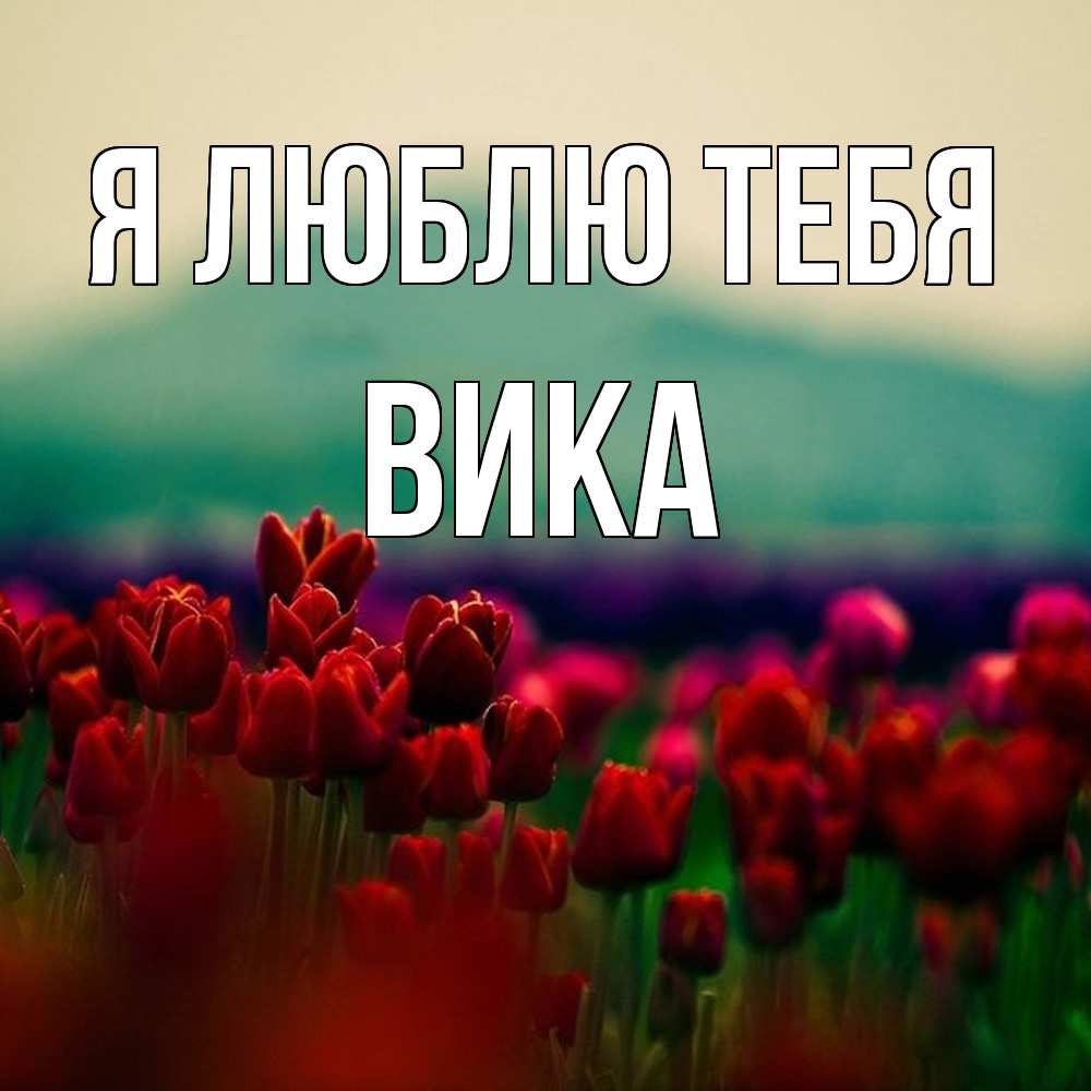 Открытка  с именем. Вика, Я люблю тебя  