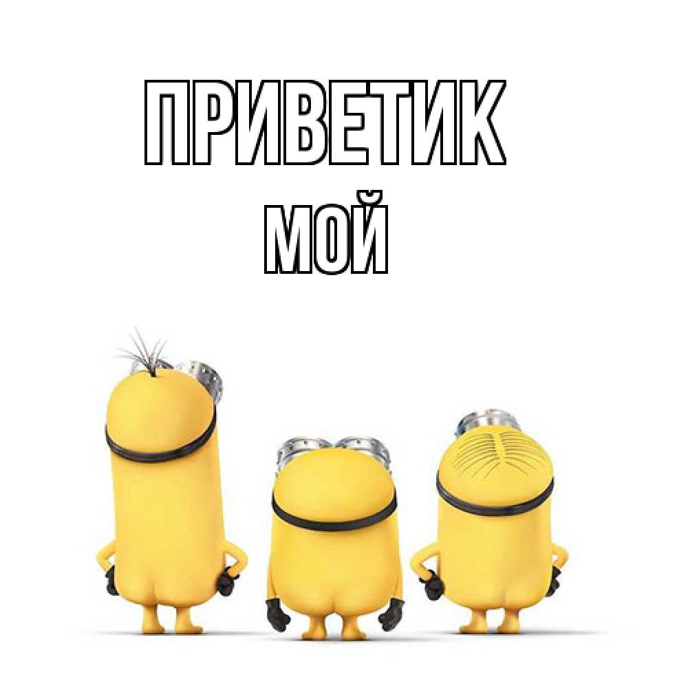Открытка  с именем. Мой, приветик  