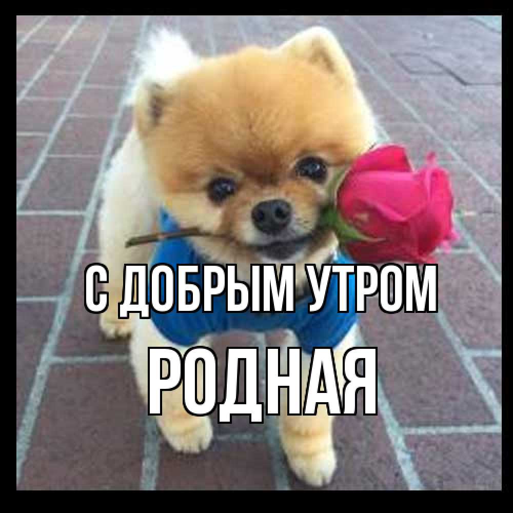 Открытка  с именем. Родная, С добрым утром  