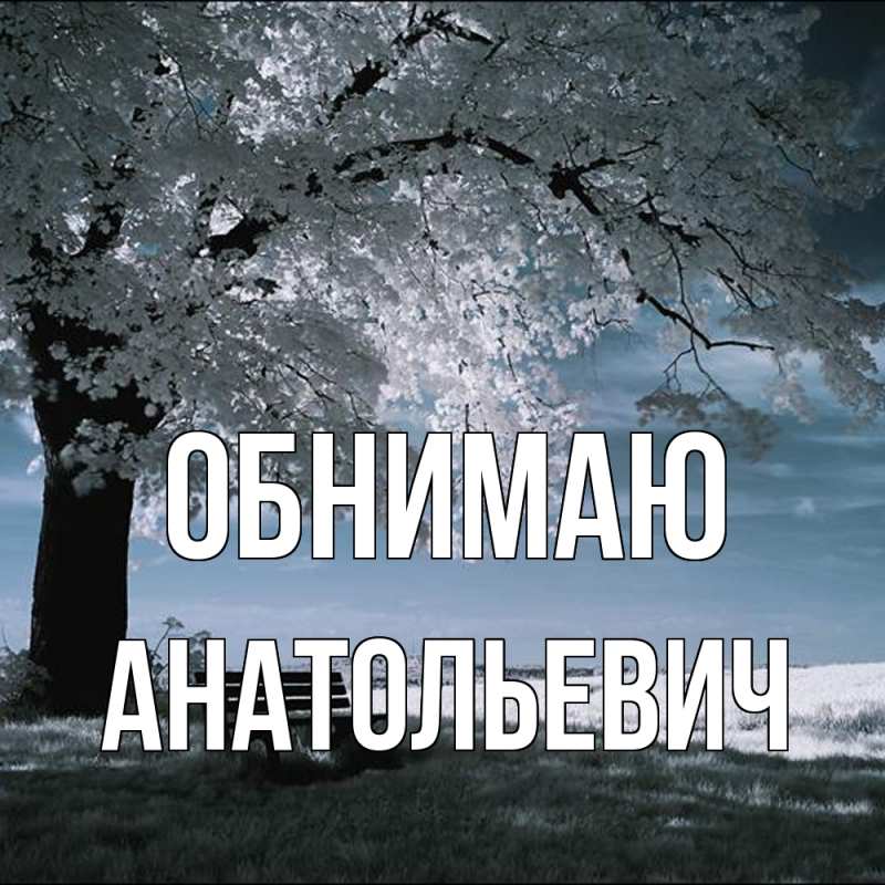 Картинка Обнимаю, Анатольевич