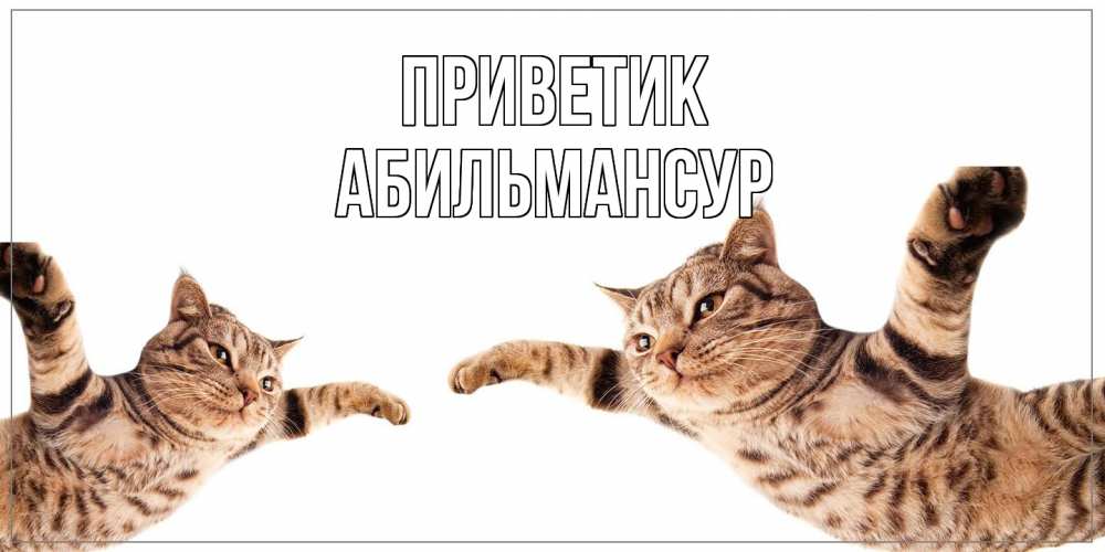 Открытка  с именем. Абильмансур, приветик  