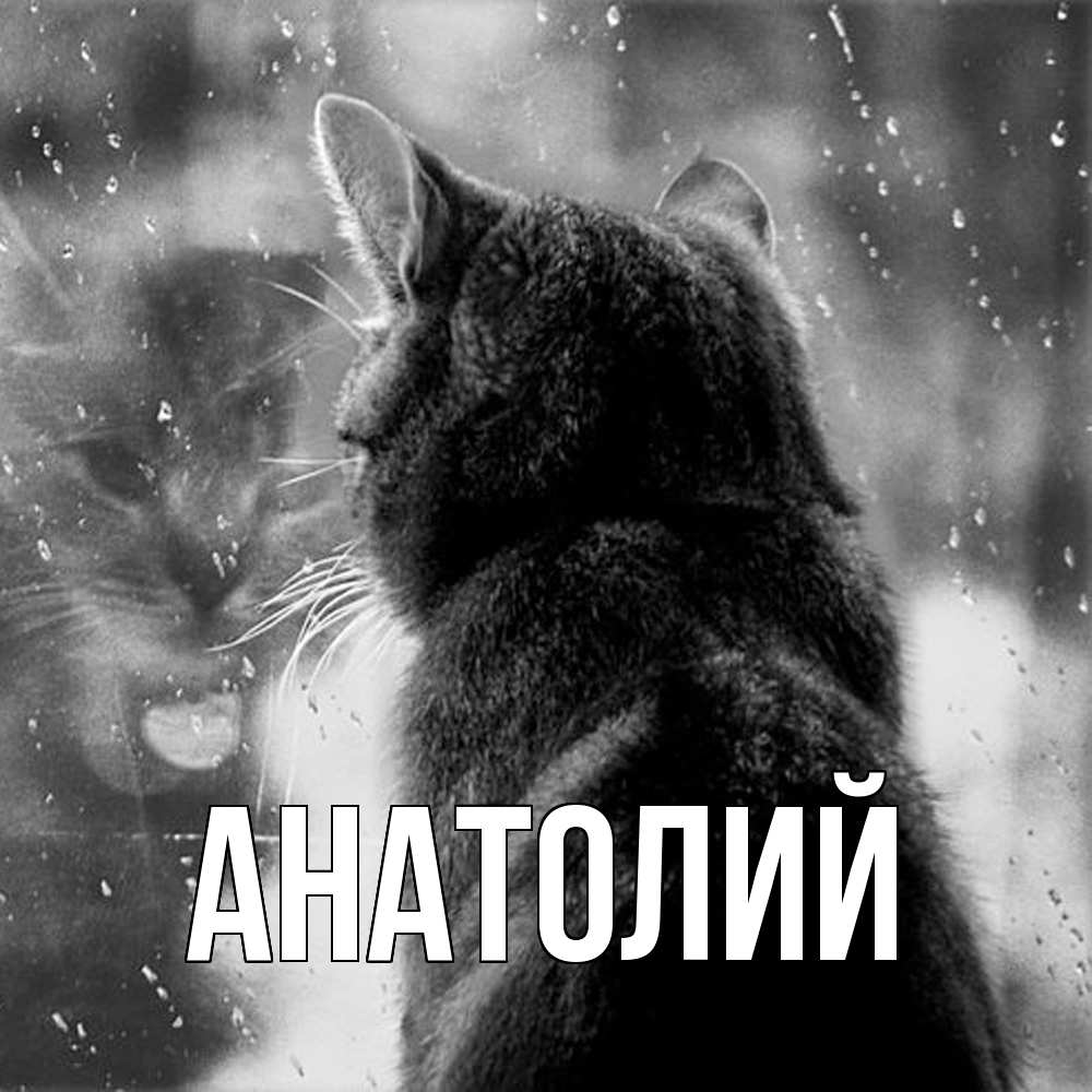 Открытка  с именем. Анатолий, Главная  