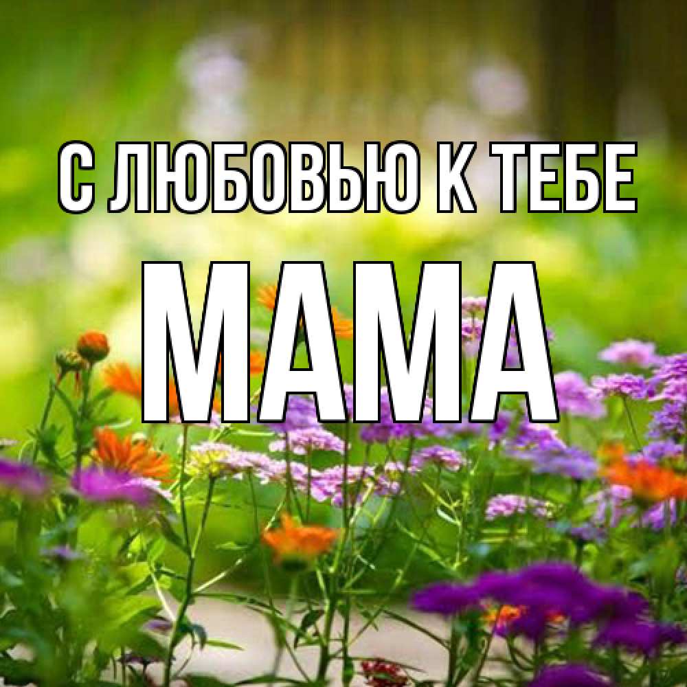 Открытка  с именем. Мама, С любовью к тебе  