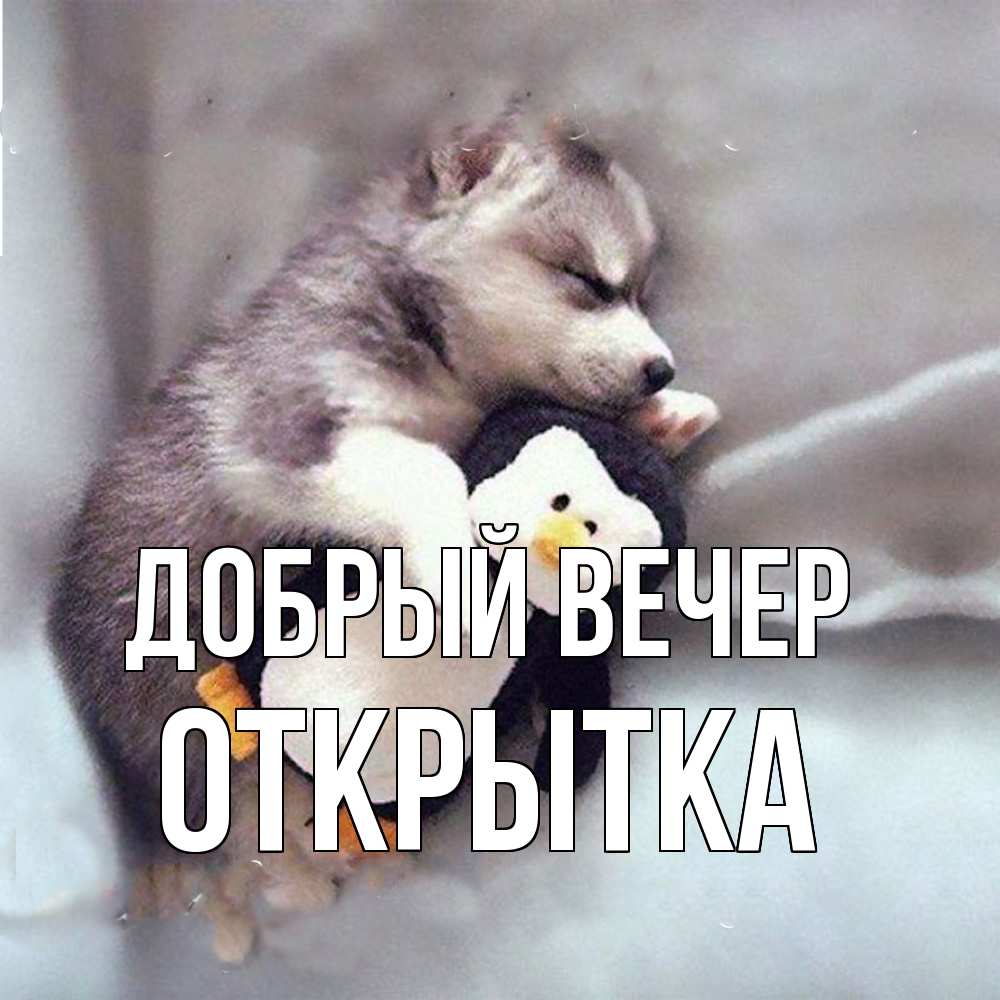 Открытка  с именем. открытка, Добрый вечер  