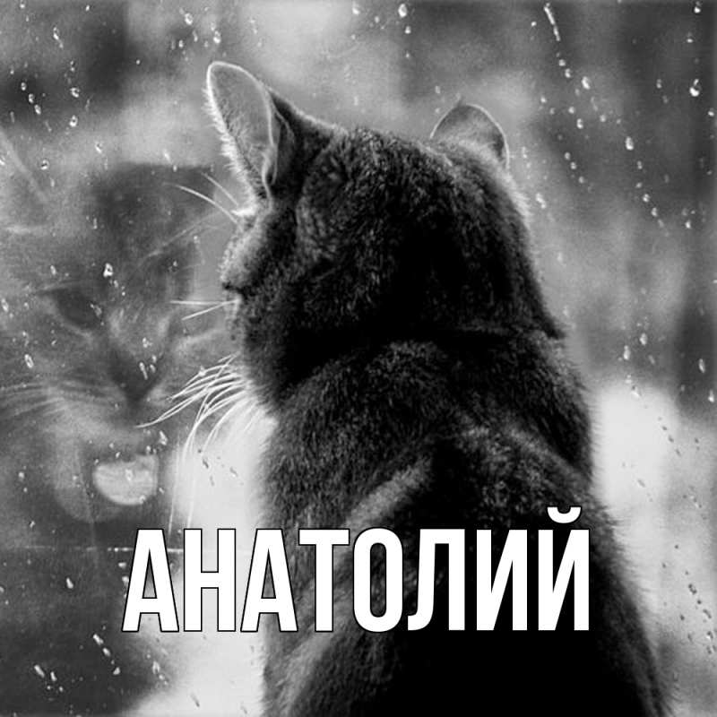 Картинка  с именем , Анатолий