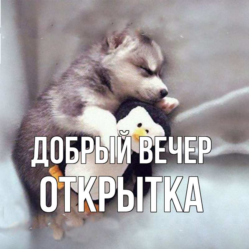 Картинка Добрый вечер, открытка