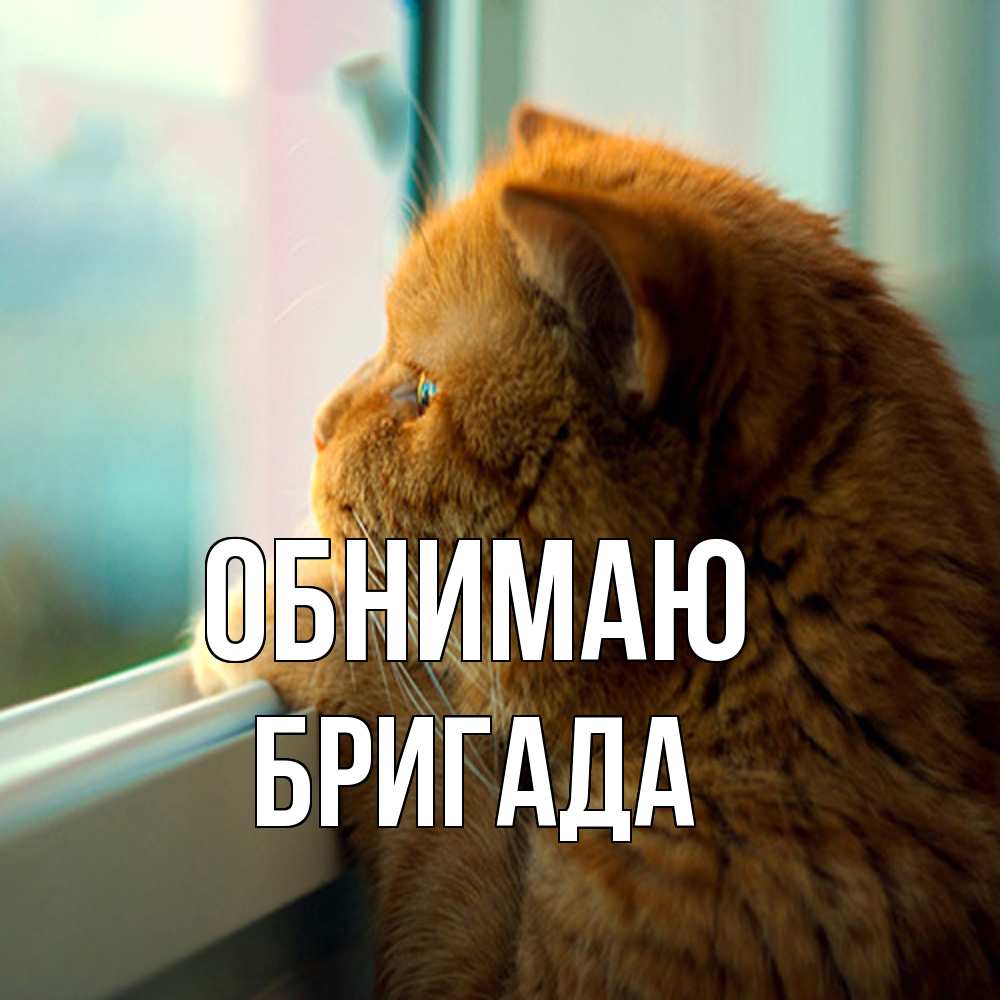 Открытка  с именем. Бригада, Обнимаю  