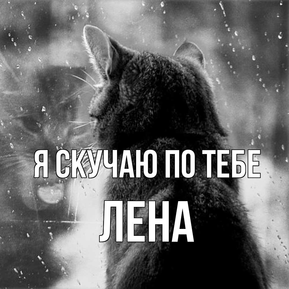 Открытка  с именем. Лена, Я скучаю по тебе  